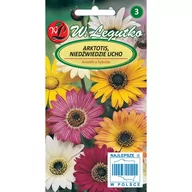 Nasiona i cebule - Legutko sp. z o.o Nasiona Arktotis Niedźwiedzie ucho mieszanka, 0,5g - miniaturka - grafika 1