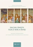 Religia i religioznawstwo - Duchu Święty, ulecz serca ranę! - miniaturka - grafika 1