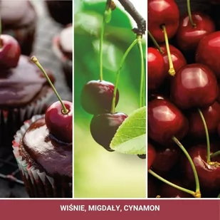 Zapach Samochodowy Vent Sticks Black Cherry - Zapachy samochodowe - miniaturka - grafika 2