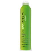 Szampony do włosów - Inebrya Cleany szampon przeciwłupieżowy 300ml - miniaturka - grafika 1