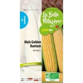 Nasiona i cebule - Kukurydza złota bantam - miniaturka - grafika 1