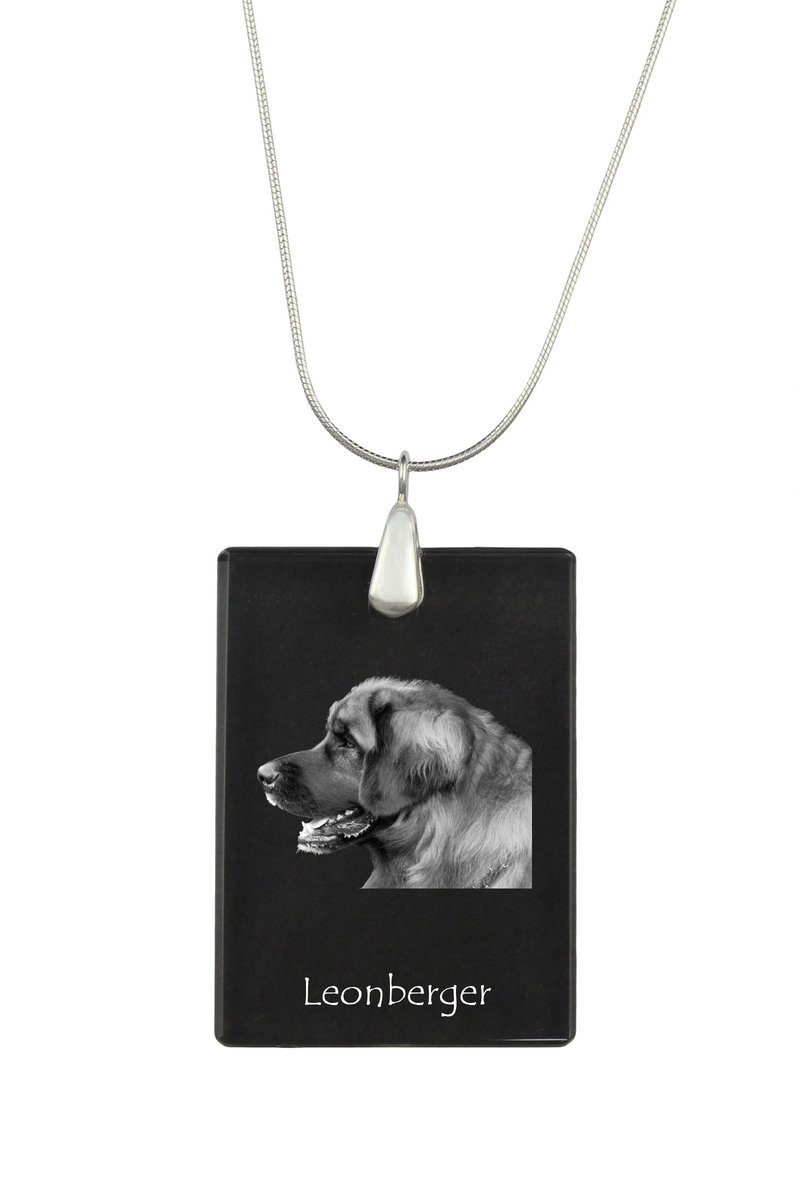 Leonberger - kryształowa zawieszka z psem, srebrny naszyjnik ze zdjęciem, personalizowany wisiorek marki Art-Dog