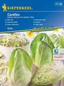 Nasiona i cebule - Kapusta Biała Caraflex F1 8376 (ST) - miniaturka - grafika 1
