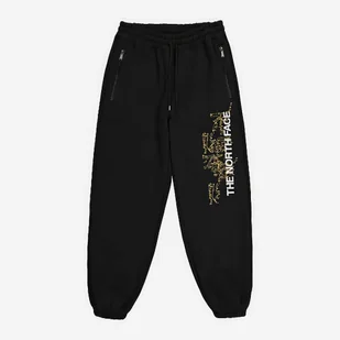 Spodnie sportowe męskie The North Face NF0A84GJOGC L Czarne (196573610620) - Spodnie sportowe męskie - miniaturka - grafika 1