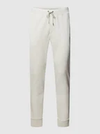 Spodnie sportowe męskie - Spodnie dresowe z elastycznym pasem model ‘ATHLETIC’ - miniaturka - grafika 1