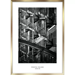 Ramka ścienna w kolorze złota Styler Floryda, 53x73 cm - Ramki na zdjęcia - miniaturka - grafika 1