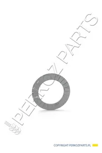 NEW HOLLAND CASE Podkładka CNH 82014658 82014658 - Części i akcesoria do maszyn rolniczych - miniaturka - grafika 1