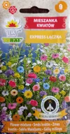 Nasiona i cebule - Mieszanka Kwiatów Express Łączka Nasiona 2 G - miniaturka - grafika 1