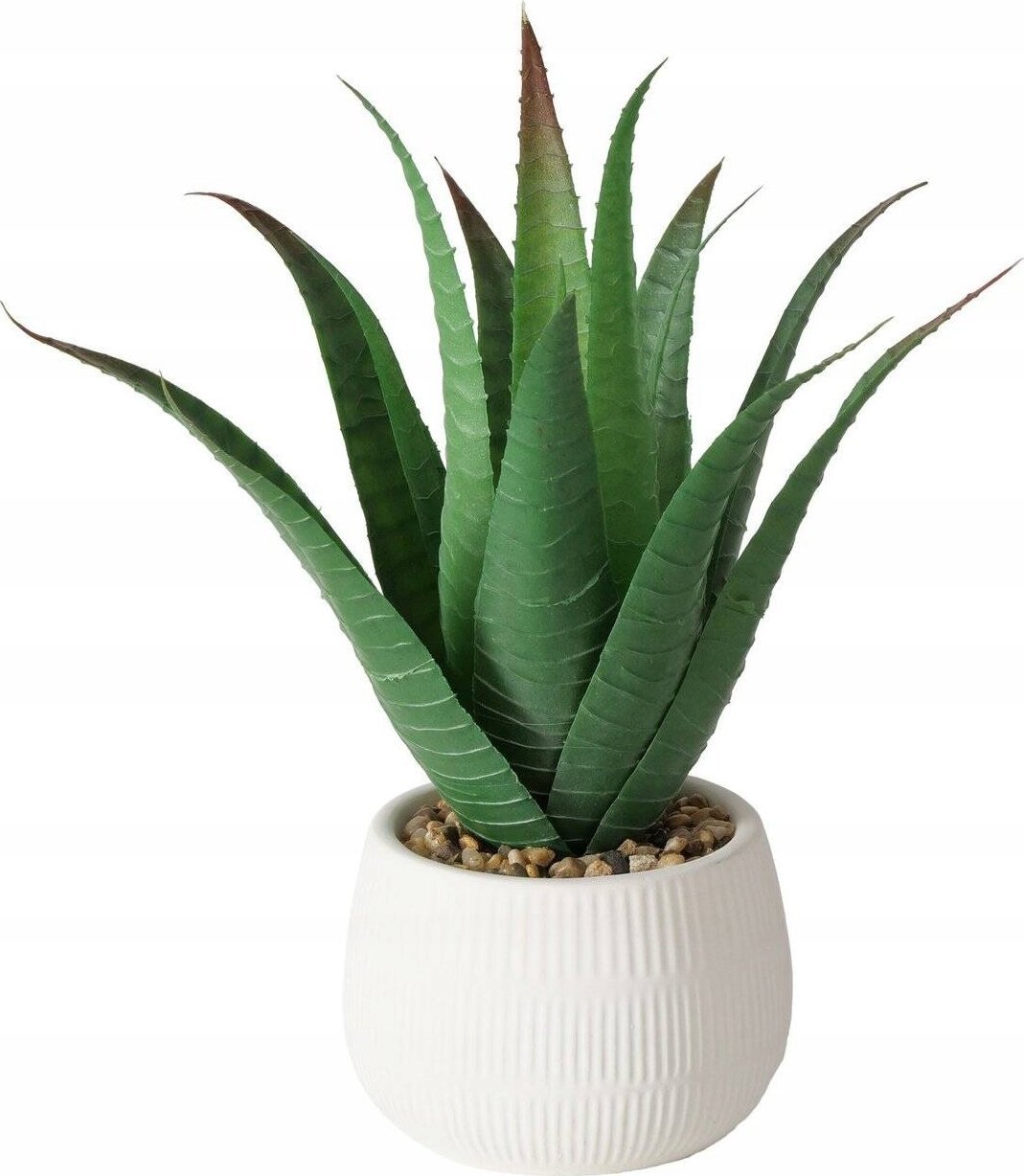 Boltze Sztuczna roślina aloes w donicze MONDRAGO, 29 cm