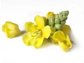 Akcesoria jeździeckie - EQUIHERBS Dziewanna kwiat 1 kg - - miniaturka - grafika 1