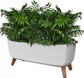 Donice - Doniczka Na Nóżkach Gracia Case Dgcl600 Biała - miniaturka - grafika 1