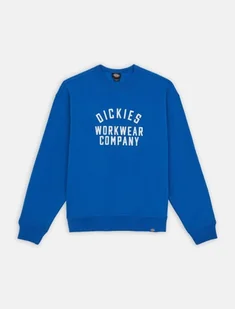 felpa uomo dickies graphic hoodie 3 - dk0a85st j531 turkish sea - Bluzy męskie - miniaturka - grafika 1