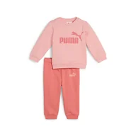 Odzież sportowa dziecięca - Zestaw dla małych dzieci Minicats Essentials z bluzą PUMA Pink Fruit - miniaturka - grafika 1