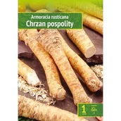 Sosy w słoikach - Armoracia Rusticana - Chrzan Pospolity Wybór "I" 1 Szt. - miniaturka - grafika 1