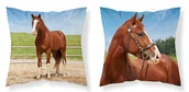 Poszewki na poduszki - Detexpol Poszewka 40x40 bawełniana Koń MF003_20220409075845 - miniaturka - grafika 1