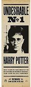 Kartki okolicznościowe i zaproszenia - Grupo Erik Editores Harry Potter Undesirable Nº1 – plakat na drzwi - miniaturka - grafika 1