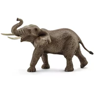 Figurki dla dzieci - Schleich Wild Life - Słoń afrykański samiec, figurka dla dzieci 3+ - miniaturka - grafika 1