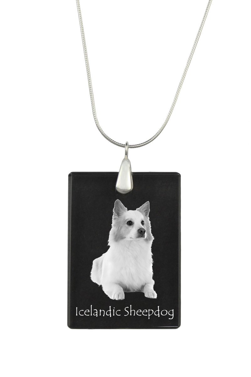 Islandzki szpic pasterski - kryształowa zawieszka z psem, srebrny naszyjnik ze zdjęciem, personalizowany wisiorek marki Art-Dog