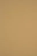 Dekoratorstwo - Papier ozdobny, gładki kolorowy Sirio Color 115g Bruno jasny brązowy opakowanie 50 szt A4 - miniaturka - grafika 1