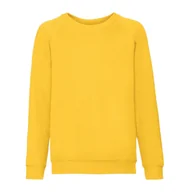 Odzież sportowa dziecięca - Bluza Dziecięca/dziecięca Classic Raglan - miniaturka - grafika 1