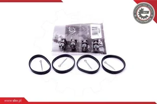 ZESTAW NAPRAWCZY 49SKV518 - Układ zasilania - akcesoria - miniaturka - grafika 1