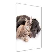 Obrazy i zdjęcia na płótnie - Foto obraz szkło hartowane pionowy Pies i kot - miniaturka - grafika 1