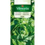 Nasiona i cebule - VILMORIN nasiona SAŁATA MASŁOWA CASSINI 0,5 G - miniaturka - grafika 1
