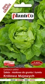 Nasiona i cebule - Plantico Sałata masłowa Królowa Majowych - miniaturka - grafika 1