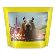 Kawa - Kawa ziarnista Qualia Brazylia Guima FILTR 250g - miniaturka - grafika 1