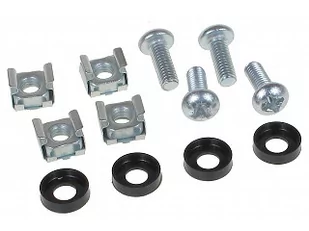 Śruba montażowa SM-6/RACK 4 SZT. DO MONTAŻU PANELI RACK - Akcesoria do szaf serwerowych - miniaturka - grafika 1