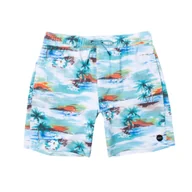 Kąpielówki męskie - Spodenki kąpielowe RVCA VA Pigment Elastic Waist Boardshorts 17 plażowe męskie-M - miniaturka - grafika 1
