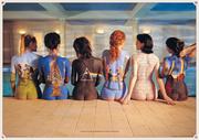 Plakaty - Pyramid Posters Pink Floyd (back) - plakat PP0505 - miniaturka - grafika 1