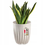 Donice - Doniczka Osłonka Eko + Wkładka Kremowa 14,5X17Cm - miniaturka - grafika 1