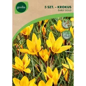 Nasiona i cebule - Krokus Early Gold 5/7 5szt. Cebulki kwiatów Geolia - miniaturka - grafika 1