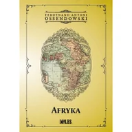Felietony i reportaże - Afryka. Kraje i ludzie Ossendowski Antoni  Ferdynand - miniaturka - grafika 1