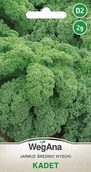 Nasiona i cebule - Jarmuż Kadet 2g nasiona - WegAna - miniaturka - grafika 1