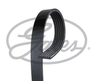 Pasek klinowy wielorowkowy Gates 6PK797EST - Paski klinowe i wielorowkowe - miniaturka - grafika 1