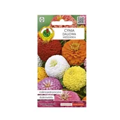 Nasiona i cebule - Cynia Daliowa Mieszana nasiona 1.5 g Pnos - miniaturka - grafika 1