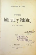 Poezja - Dzieje literatury polskiej w zarysie Tom I 1903 r. - miniaturka - grafika 1