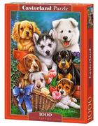 Puzzle - Castorland Puzzle 1000 Puppies - miniaturka - grafika 1