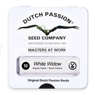 Nasiona konopi Dutch Passion - White Widow 10 szt. - Nasiona i cebule - miniaturka - grafika 1