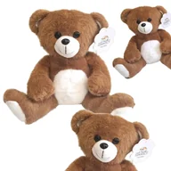 Zabawki interaktywne dla dzieci - Miś Chłopiec Przytulanka Duża Maskotka Miękki Pluszowy Pan Misiu 27cm - miniaturka - grafika 1