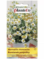 Nasiona i cebule - Plantico Rumianek pospolity - miniaturka - grafika 1