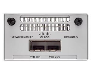 Cisco Catalyst C9300-NM-2Y - Switche - miniaturka - grafika 2