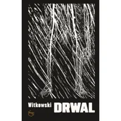 Kryminały - Drwal - Michał Witkowski - książka - miniaturka - grafika 1