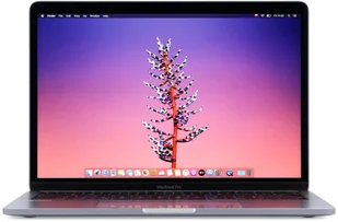 Apple MacBook Pro 13" A1989 2018r. i5-8259U 8GB 512GB SSD 2560x1600 Klasa A- MacOS Big Sur - Elektronika OUTLET - miniaturka - grafika 1