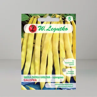 Nasiona Fasola zwykła Galopka 40g - W.Legutko - Nasiona i cebule - miniaturka - grafika 1