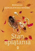 Literatura obyczajowa - Stan splątania - miniaturka - grafika 1
