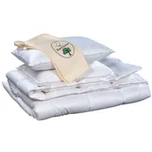 Kołdry - Kołdra TREE AND GOOSE puchowa : Rodzaj - Letnia, Rozmiar - 200x220 - miniaturka - grafika 1