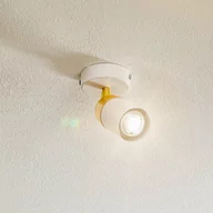 Lampy sufitowe - Spot sufitowy Rondo biały/złoty, 1-punktowy - miniaturka - grafika 1